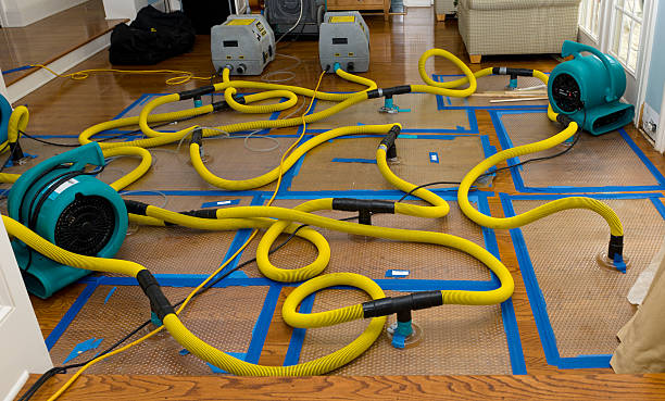 Professional Water Damage Restoration technician working in Central, TN